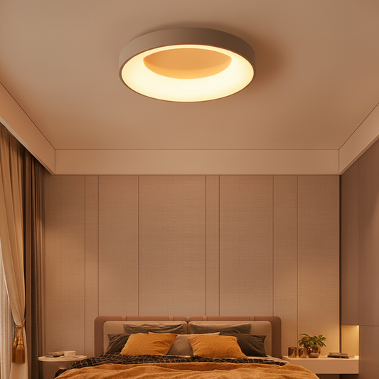 LED Ceiling Light