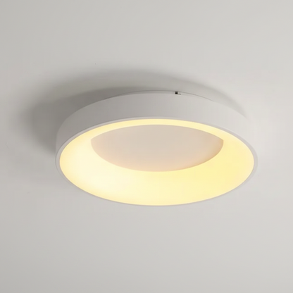 Ceiling light fixture on a plain background