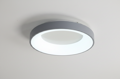 LED Ceiling Light