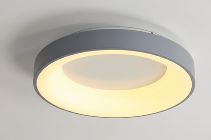 LED Ceiling Light