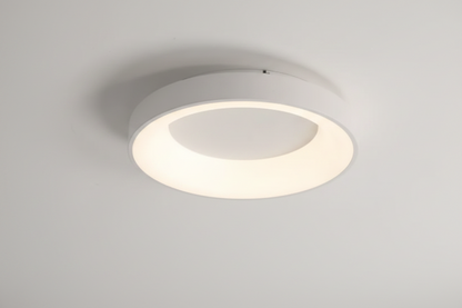 LED Ceiling Light